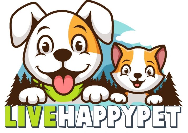 Aggressive Chewer Toys